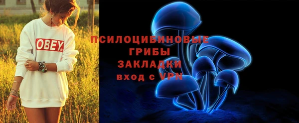 мескалин Осташков