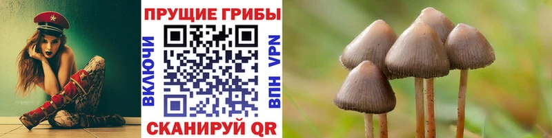 Галлюциногенные грибы мицелий  мега как войти  Егорьевск 
