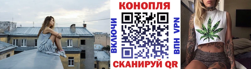 закладка  Егорьевск  Шишки марихуана сатива 